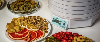 Den bedste tørretumbler til grøntsager og frugt