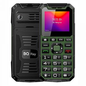 BQ 2004 Ray